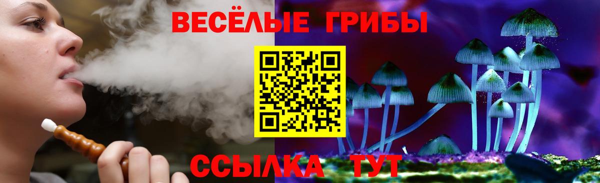 Галлюциногенные грибы мицелий  Псилоцибиновые грибы Magic Shrooms  Елизово  Вход с VPN 